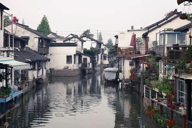 核酸检测管里的红色液体是什么？为啥是红色的？游戏画面